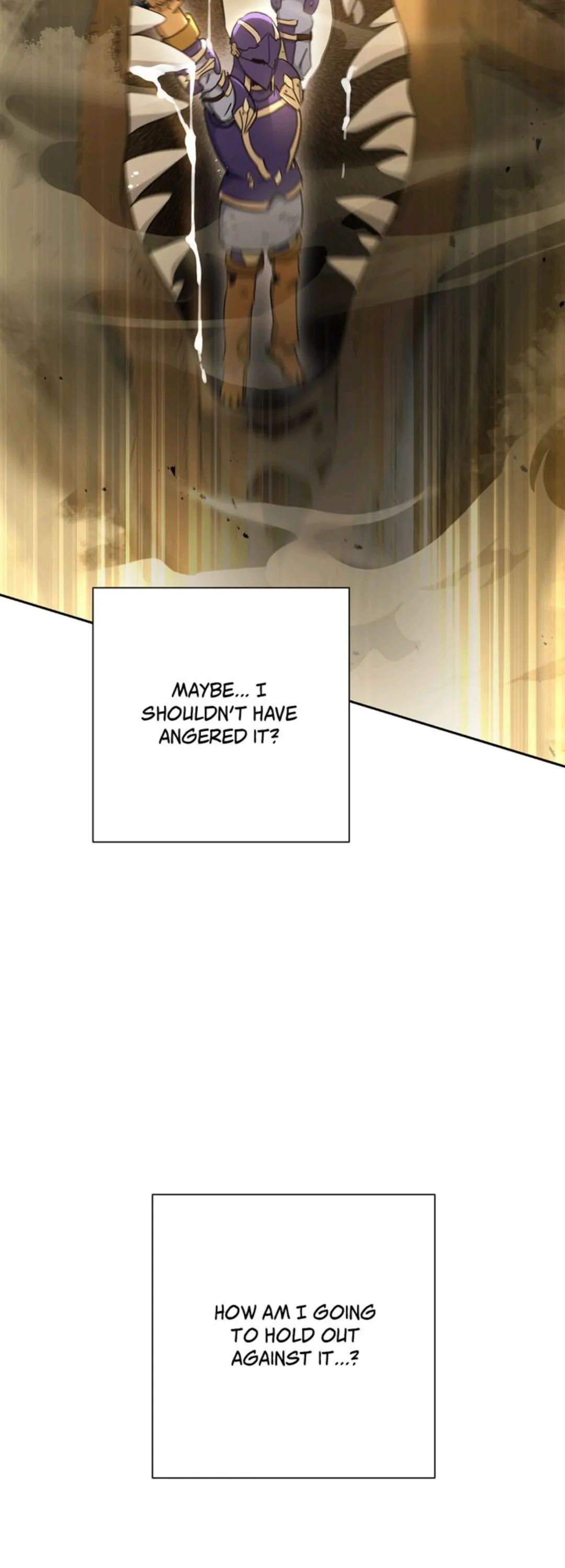 7980952 1080 3000 69372